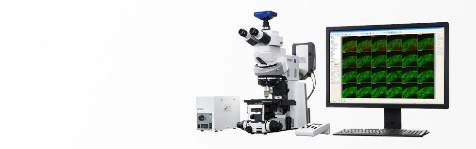 蔡司Axio Examiner 固定载物台式研究级显微镜
